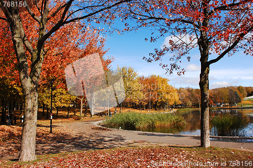 Image of Beautiful fall park few.
