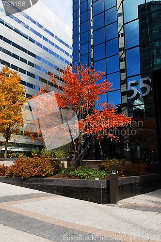 Image of A marble tree in downtown Ottawa.