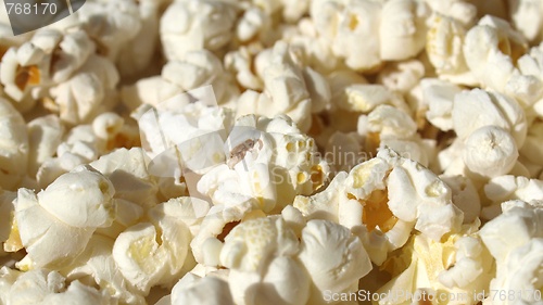 Image of Pop Corn