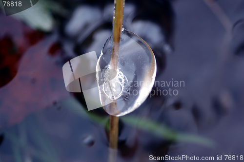 Image of Static water.