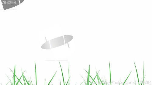 Image of Meadow