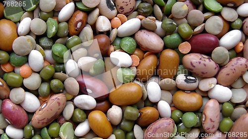 Image of Beans