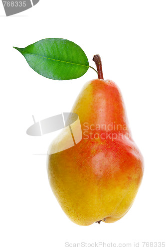 Image of Pear