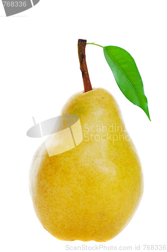 Image of Golden pear