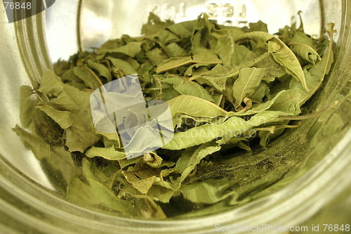 Image of herb tea