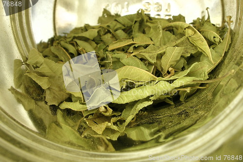 Image of herb tea