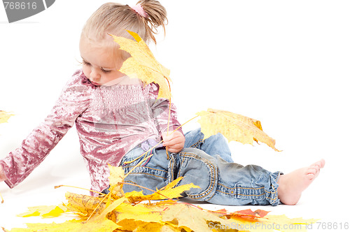 Image of Toddler with maple leaves