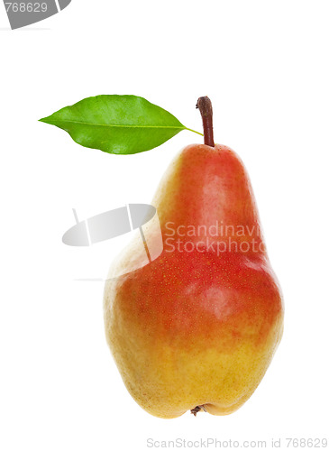 Image of Beautiful Fresh Pear