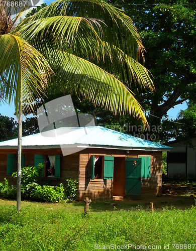 Image of native house in jungle corn island nicaragua