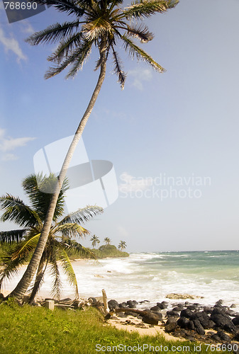 Image of desolate beach corn island nicaragua