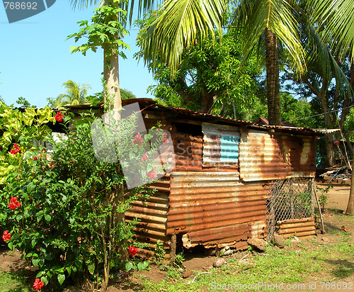 Image of native house with flowers coconut tree in jungle corn island nic