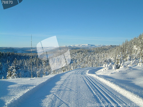 Image of Winter landscape