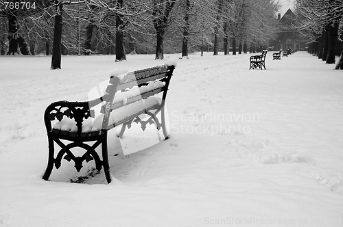 Image of bench in park