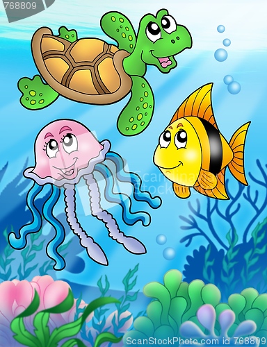 Image of Various sea fishes and animals