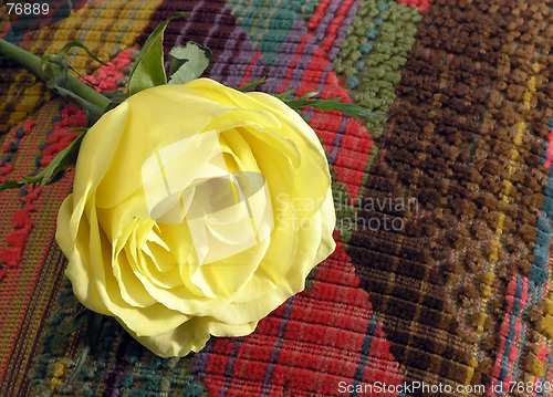 Image of Pillow Rose