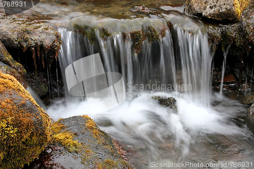 Image of Small brook