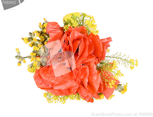 Image of Poppy branch