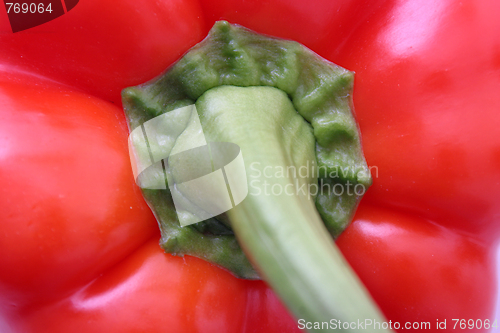 Image of Red bell pepper