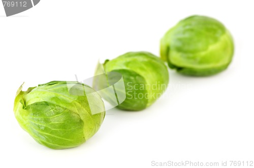 Image of Isolated brussels sprouts