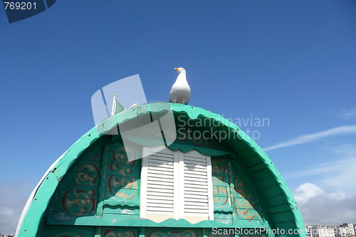 Image of Seagull On Perch