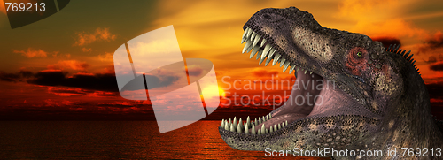 Image of T Rex Sunrise 