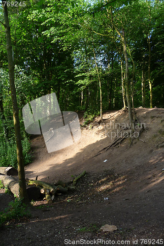 Image of Woodland Slope 