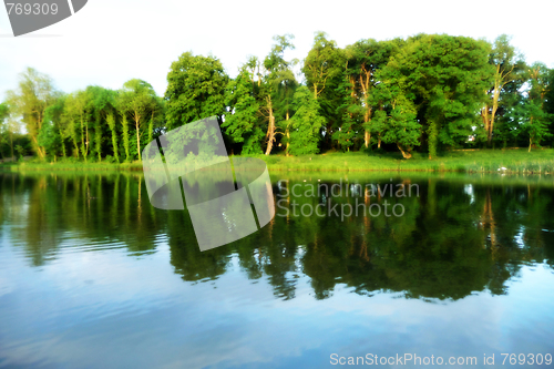 Image of Lake And Tree View In Lydiard Park