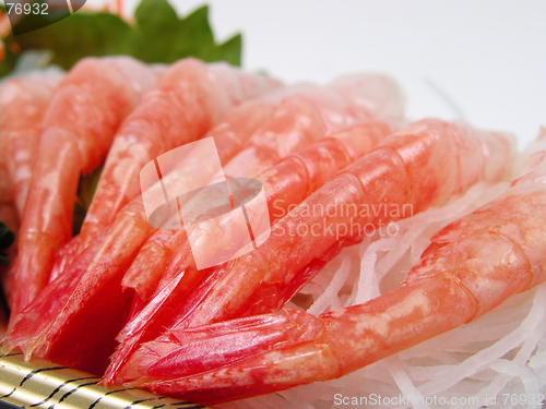 Image of Shrimp sashimi