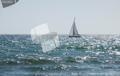 Image of Sail Boat In Sea On Brighton Coast