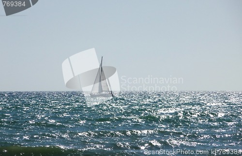 Image of Sail Boat In Sea On Brighton Coast