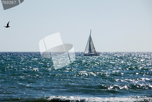 Image of Sail Boat In Sea On Brighton Coast