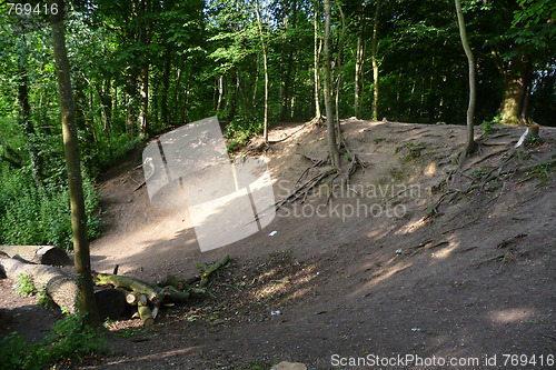 Image of Woodland Slope