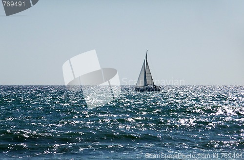 Image of Sail Boat In Sea On Brighton Coast