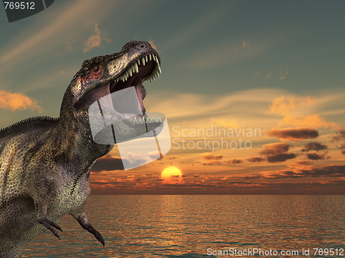 Image of T Rex Sunrise