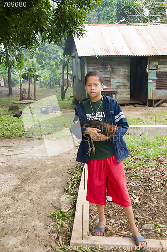 Image of editorial happy boy with pet hen chicken corn island nicaragua