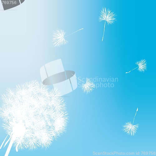 Image of Dandelion gift card