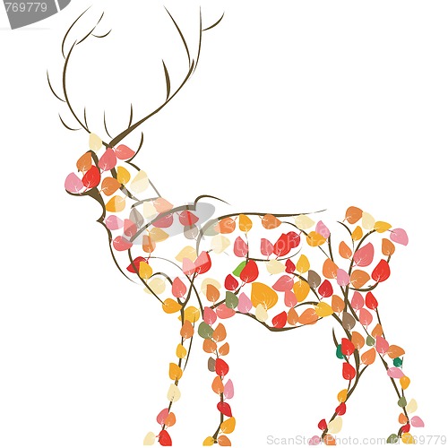 Image of Deer