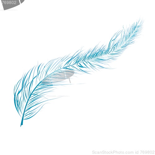 Image of Blue feather