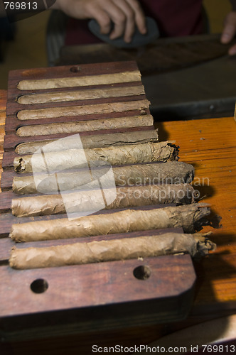 Image of hand made quality nicaraguan cigars fresh in a rack