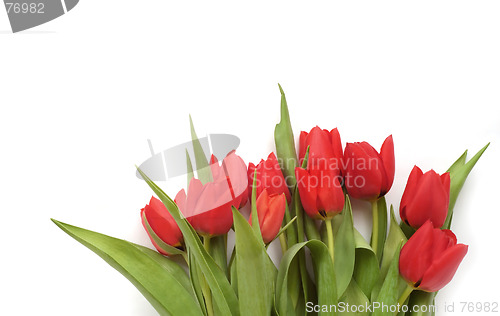 Image of Red tulips