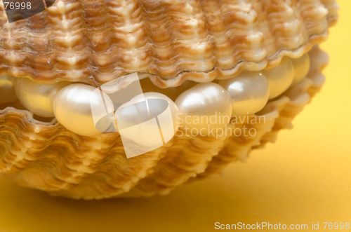 Image of Pearls