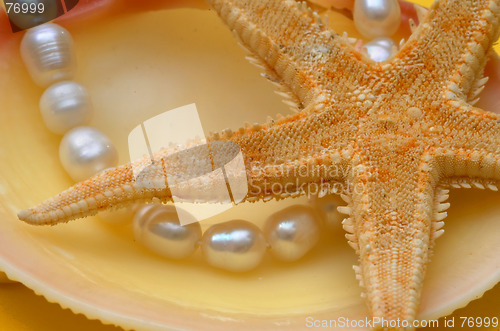 Image of Pearls and shell