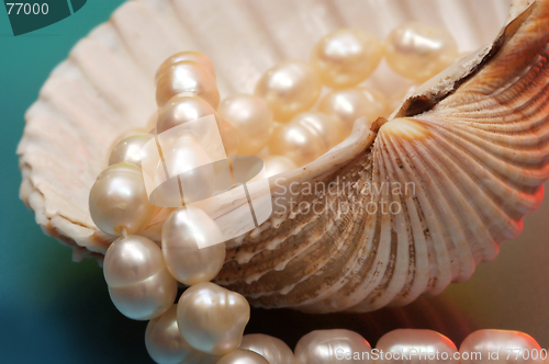 Image of Pearls and shell