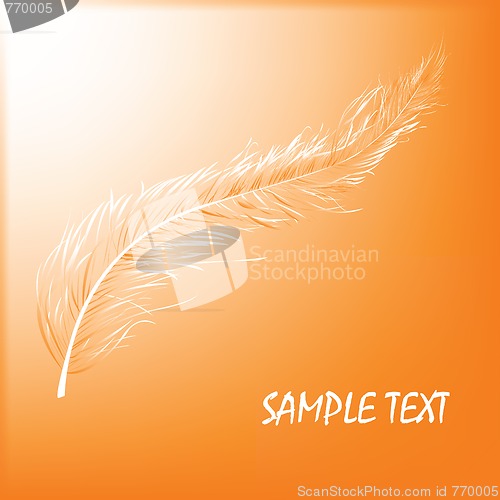 Image of Floating feather