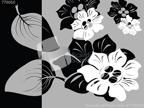 Image of Black and white floral card