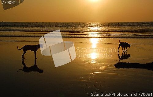 Image of Two Dogs On The Beach At Sunset