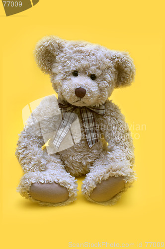 Image of Teddy bear