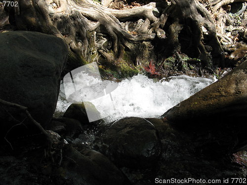 Image of Foamy waters