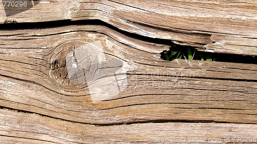 Image of Wood