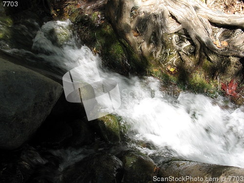 Image of Flowing waters